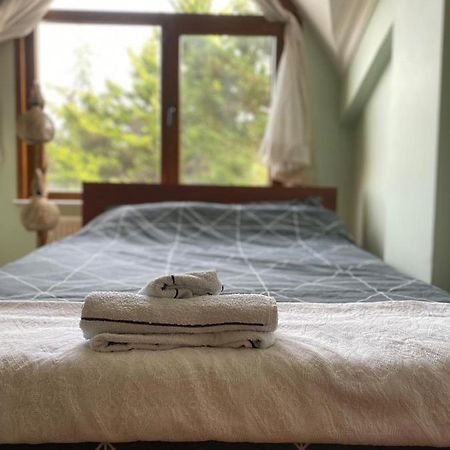 Otantik Havalimanina Yakin Villa Arnavutkoy Ngoại thất bức ảnh